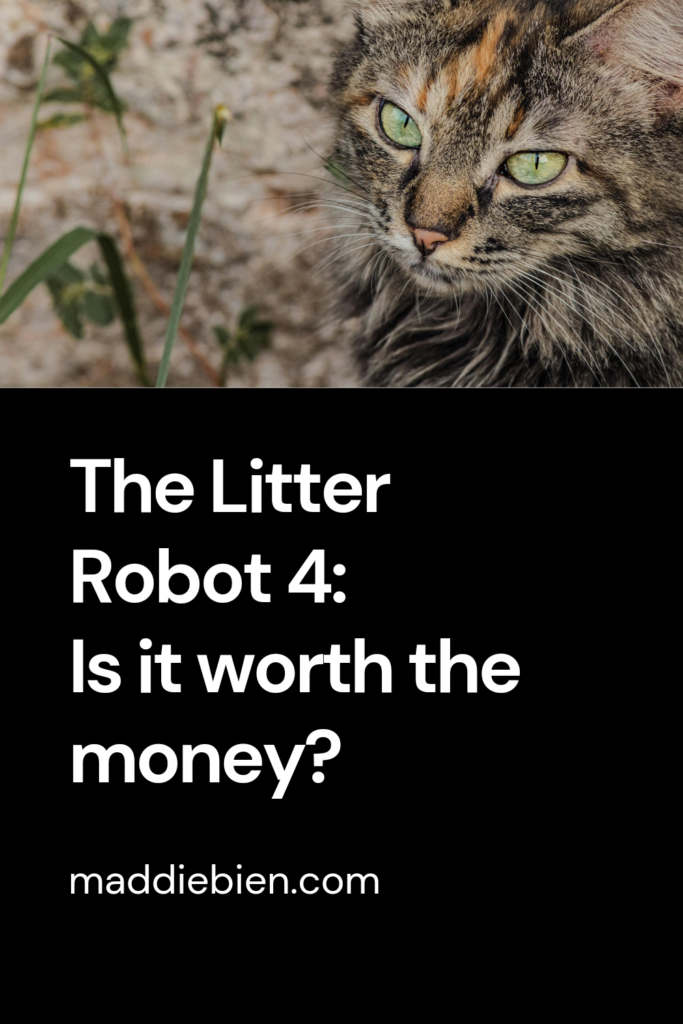 An image of a tabby cat with green eyes is above a black box with white text that says: "The litter robot 4: is it worth the money?" with a link to Maddie's website.